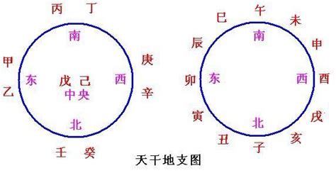 什麼是天干地支